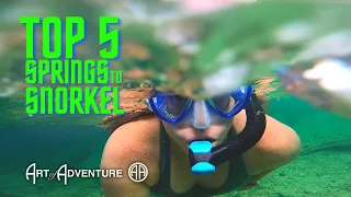 The Best Springs for Snorkeling in Florida!