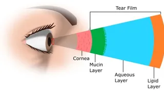 Components of Tear Film | Ophthalmology