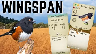 Wingspan Gameplay: You Can't Beat The Wheat