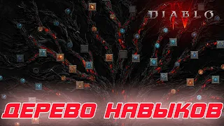 Diablo 4 - Разбор дерева навыков как элемента билдообразования игры