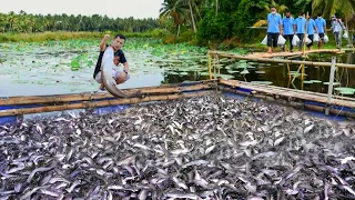 Native Catfish Farming, Catch & Cook - First Time Fishing in our Largest Pond of Catfish and Tilapia