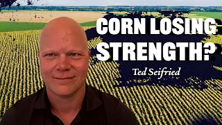 Crop Progress Report Analysis: Ted Seifired on RFD-TV