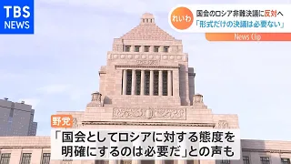 れいわ新選組がロシア非難決議案に反対へ あす衆院本会議で採択予定