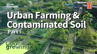 Urban Agriculture & Soil Contamination with Zack Grant | #GoodGrowing