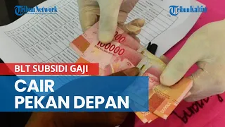 BLT Subsidi Gaji Cair Pekan Depan, Segera Catat Syarat Lengkap Penerima