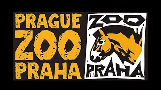 Praha Zoo Прага зоопарк