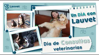 DÍA DE CONSULTAS VETERINARIAS CONMIGO - Lauvet