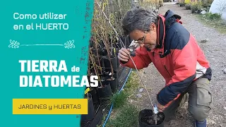 👉Como utilizar TIERRA de DIATOMEAS en el HUERTO + oxicloruro de cobre 🌱 - JARDINES y HUERTAS