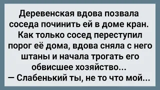 Деревенская Вдова Потрогала Соседа за Хозяйство! Сборник Свежих Анекдотов! Юмор!