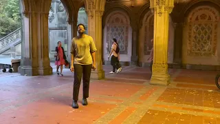 SHALLOW - 💙 Street singer, Central Park, NYC,  great performance  🇺🇸