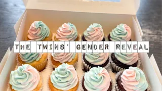 Twins Gender Reveal!!