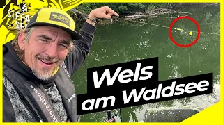 WELS am Waldsee | FREESTYLE und BOJE in stehenden Gewässern | Welsangeln in Deutschland