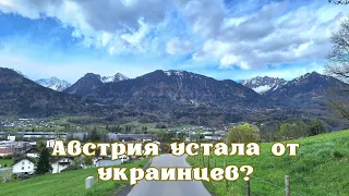 Австрия устала от украинцев.