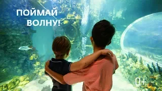 Крокус Сити Океанариум | На волне приключений!