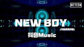 抖音Music - NEW BOY (抖音房东的猫)「是的我看见到处是阳光 快乐在城市上空飘扬」【動態歌詞/pīn yīn gē cí】