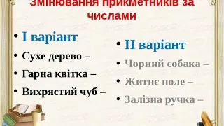 Українська мова (3 клас). Змінювання прикметників за числами