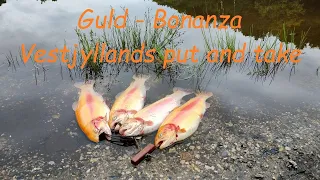 Guld-Bonanza I Vestjyllands Put And Take