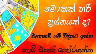 මේ වෙලාවේ ඔබ ඉන්න ඕන විදිහ Tarot Card Reading Sinhala