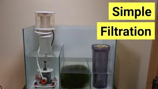 Top 5 Filters For A Saltwater Aquarium