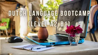 New Dutch language Bootcamp (level A2 - B1)