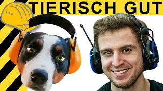 TIERISCH GUT! EURE TOP 3 WERKZEUGE | WERKZEUG NEWS #102