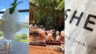 VLOG || Lunch || Unboxing || Shein Mini Try On Haul || Spend The Day With Me At Johannesburg Zoo