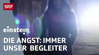 Phänomen Angst – sie ist Lebensretter und gleichzeitig Krankmacher | Einstein | SRF