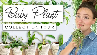 TINY Plant Collection Tour 🪴 My Favourite Baby House Plants