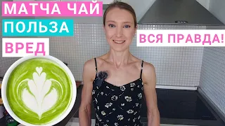 Матча чай: польза и вред для здоровья. Матча чай и похудение. Где купить зеленый чай матча?