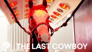 Meet the Horses 🐴 The Last Cowboy | Paramount Network