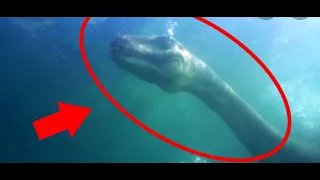 7 Mysterious Deep Sea Creatures Spotted On Google Earth