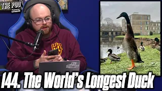 144.  The World's Longest Duck | The Pod