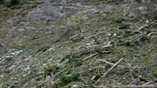 Cascada de Estiviellas - Canfranc