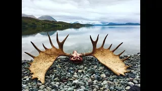 3 Giant Alaskan Bull Moose!!  EPIC DIY hunt - The Journey