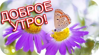 Доброе утро - родным и знакомым!❤️ Хорошего желаю настроения !❤️Good morning❤️