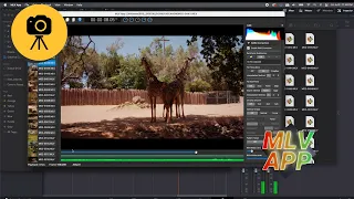 How to Edit Canon EOS M Magic Lantern Footage–MLV App Workflow Tutorial