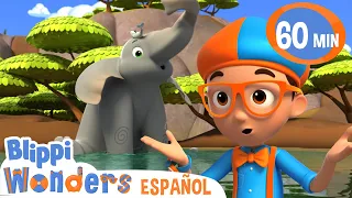 ¿Porque los elefantes tienen trompas? | Caricaturas infantiles | Moonbug en Español - Blippi Wonders