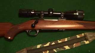 Ruger Model 77V In 243 Winchester