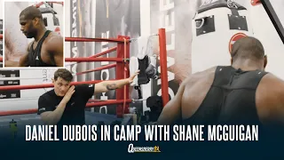 A NEW ANIMAL? DANIEL DUBOIS SMASHES BAG AND WORKS PADS WITH NEW TRAINER SHANE McGUIGAN