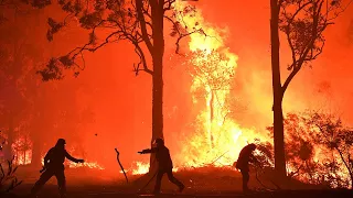 Terrifying moment 'crowning' bushfire sets canopy ablaze in New South Wales