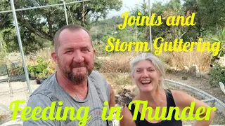 70 : Drywall Joints to Our Homestead in Portugal. Emergency Guttering in a Thunderstorm