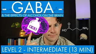 GABA - The Inhibitory Neurotransmitter (+ Alcohol in the Brain) (Level 2 - Intermediate)