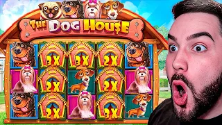 THE DOG HOUSE SLOT BONUS PAYS HUGE!!! (INSANE SET UP)