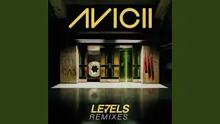 Levels (Skrillex Remix)