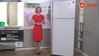 Видеообзор холодильника Sharp SJ XE59PMBE с экспертом «М.Видео»