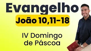 Evangelho | João 10,11-18 | 4º Domingo da Páscoa | 21/04/2024