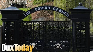 The Poison Garden | Alnwick Garden Northumberland, England | DuxToday