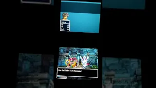 Nintendo DS Lite Pankraz Death - Dragon Quest V
