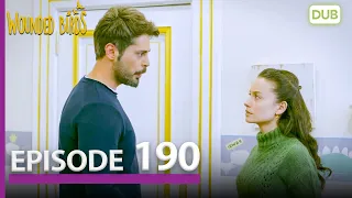 Wounded Birds Episode 190 - Urdu Dubbed | Turkish Drama