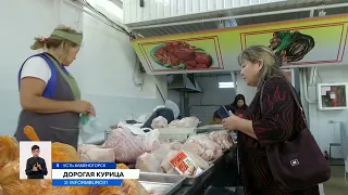 Стоимость курятины в Казахстане выросла на 28%